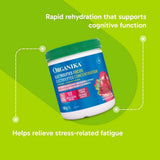 Organika Electrolyte Focus Concentration 180g