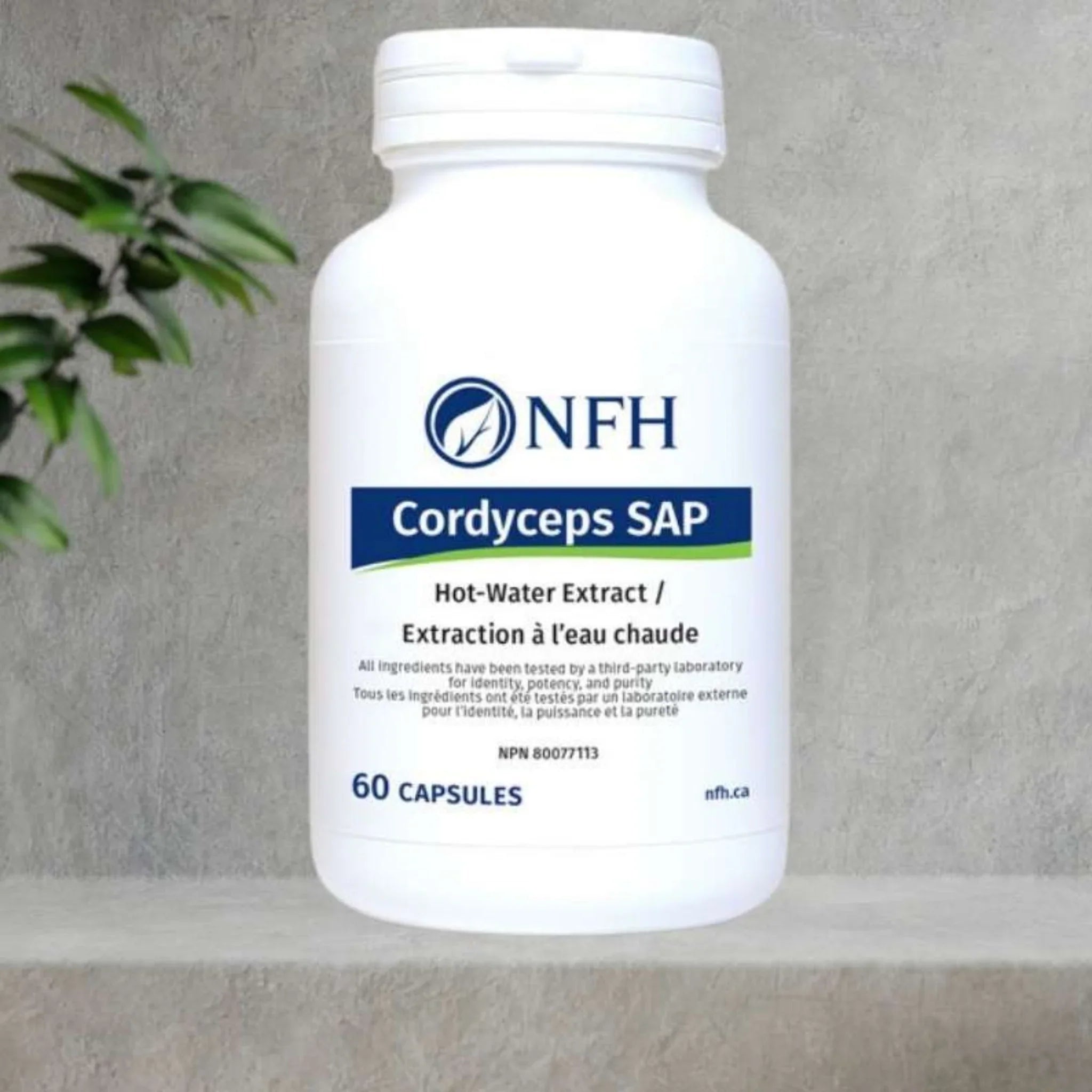 NFH Cordyceps SAP Medicinal Mushroom Hot - Water Extract 60 capsules - Nature's Source Inc