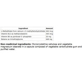 NFH Methyl SAP 60 Capsules - Nature's Source Inc