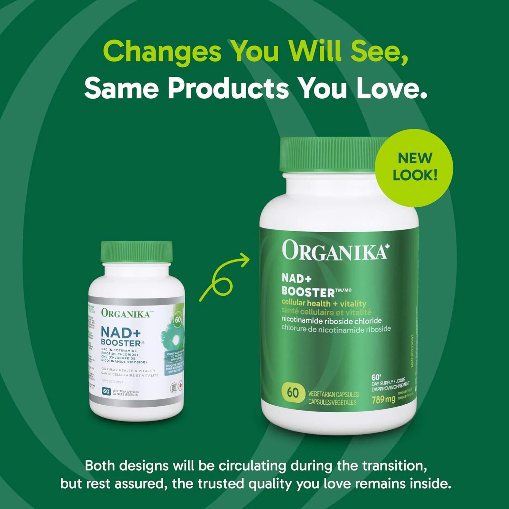 Organika NAD+ Booster 60 Vegan Capsules - Nature's Source Inc