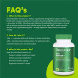 Organika NAD+ Booster 60 Vegan Capsules - Nature's Source Inc