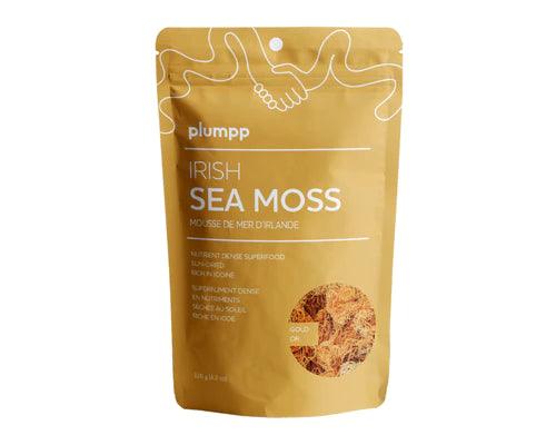 plumpp Irish Sea Moss Gold 120g - Nature's Source Inc