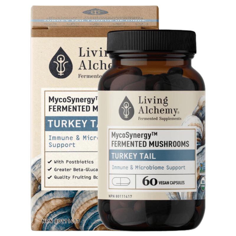 Living Alchemy MycoSynergy Fermented Mushrooms Turkey Tail 60 Vegan Capsules - Supports Microbiome And Gut Health, Promotes Healthy Immune Function, Aids In Overall Wellness, Fights Free Radical Damage
