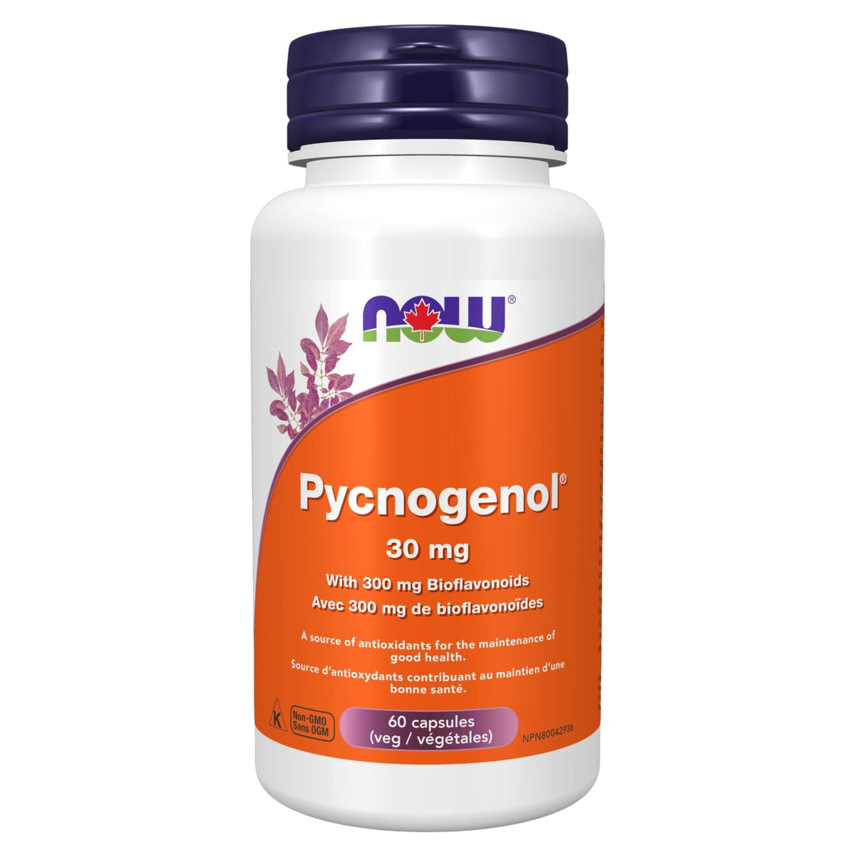 NOW Pycnogenol 30mg with Bioflavonoids 60 Vegetable Capsules