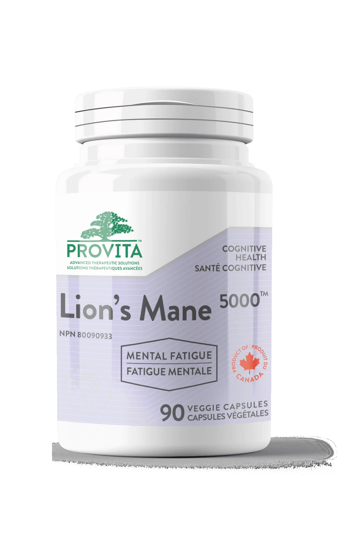 Provita Lion's Mane 5000, 90 Vegan Capsules - Antioxidant Effects, Improve Memory and Reasoning, Supports Immune System, Promotes Nerve Growth Factor