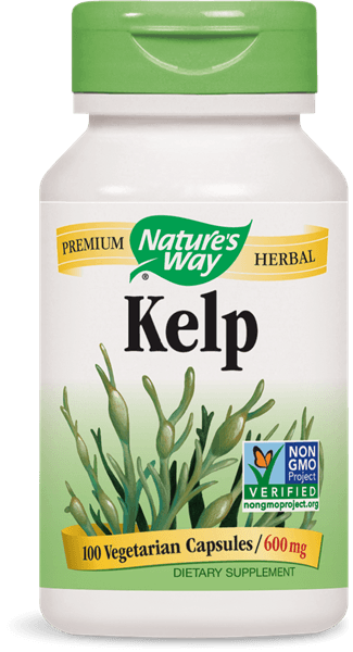 Nature's Way Kelp Whole Thallus 600mg 100 Vegan Capsules - Nature's Source Inc