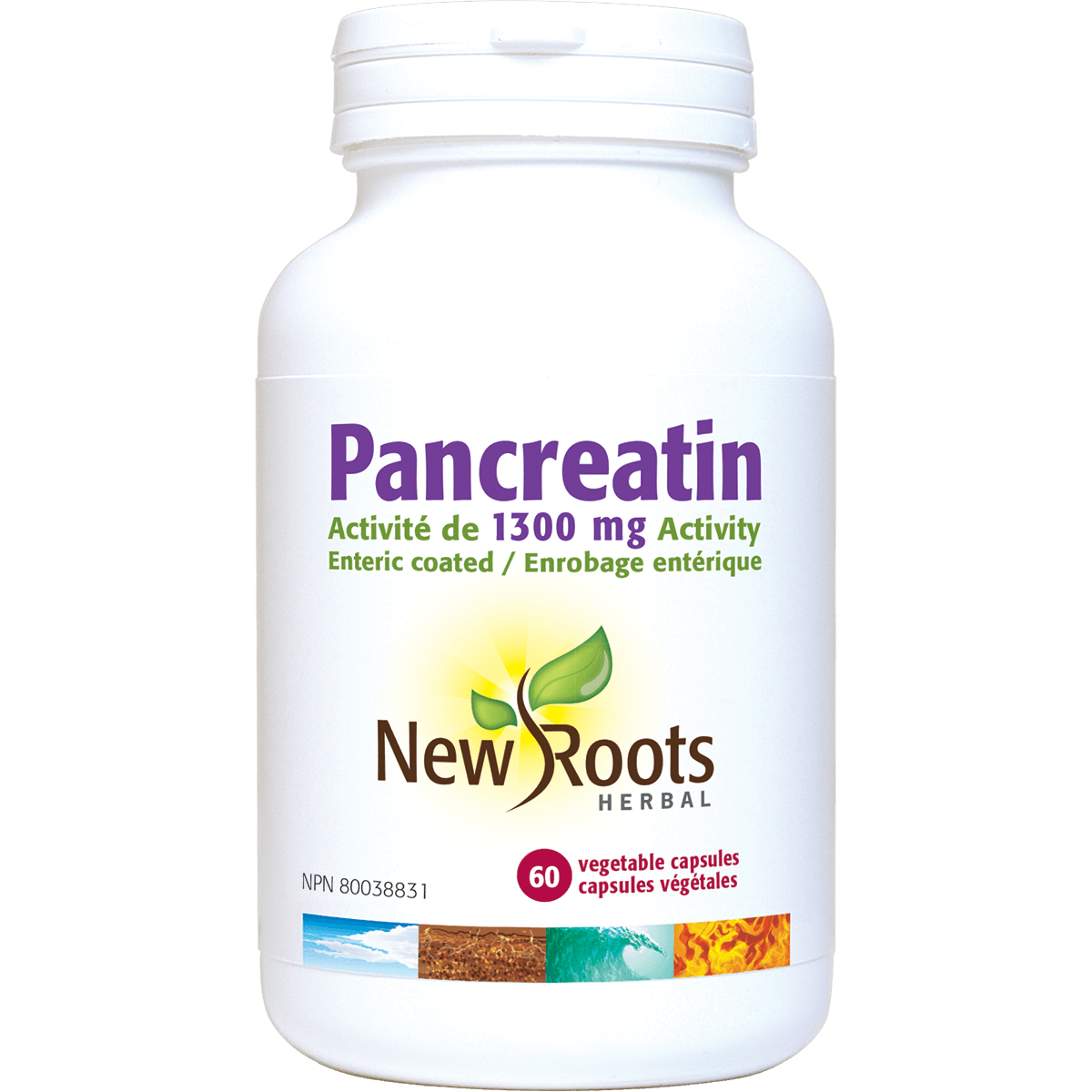New Roots Pancreatin 60c - Nature's Source Inc