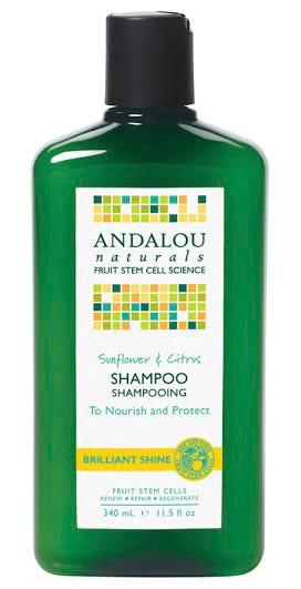 Andalou Naturals Sunflower & Citrus Shine Shampoo - 340ml - Nature's Source Inc