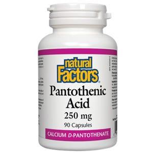 Natural Factors Pantothenic Acid 250 mg 90c - Nature's Source Inc