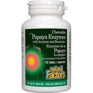 Natural Factors Papaya Enzymes with Amylase 120c - Nature's Source Inc