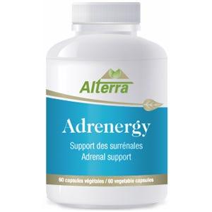 Herbasante Adrenergy 90 Veg - Caps - Nature's Source Inc