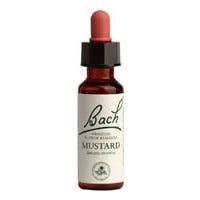 Bach Mustard 20 ml - Nature's Source Inc