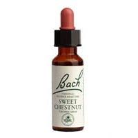 Bach Sweet Chestnut 20 ml - Nature's Source Inc