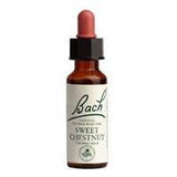 Bach Sweet Chestnut 20 ml - Nature's Source Inc