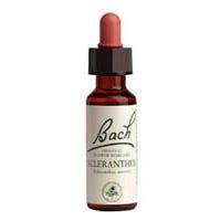 Bach Scleranthus 20 ml - Nature's Source Inc