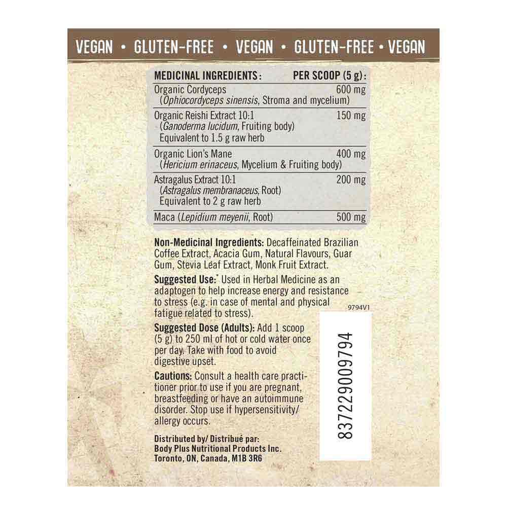 Iron Vegan Balanced Energy Iced Tea Lemonade 150g - Nature's Source Inc