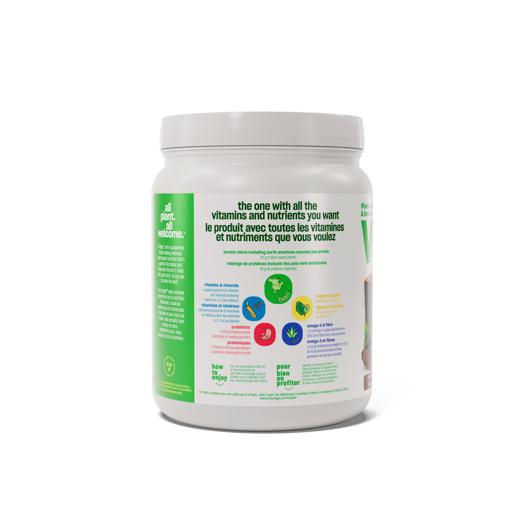 Vega One Protein Chocolate 461g - Nature's Source Inc