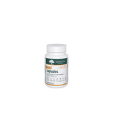 Genestra Brands HMF Probiotic 60 Vegan Caps - Helps Support Gastrointestinal Health - Nature's Source Inc