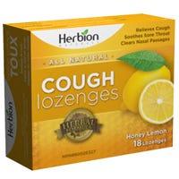 Herbion Sugar Free Honey Lemon 18 loz - Nature's Source Inc
