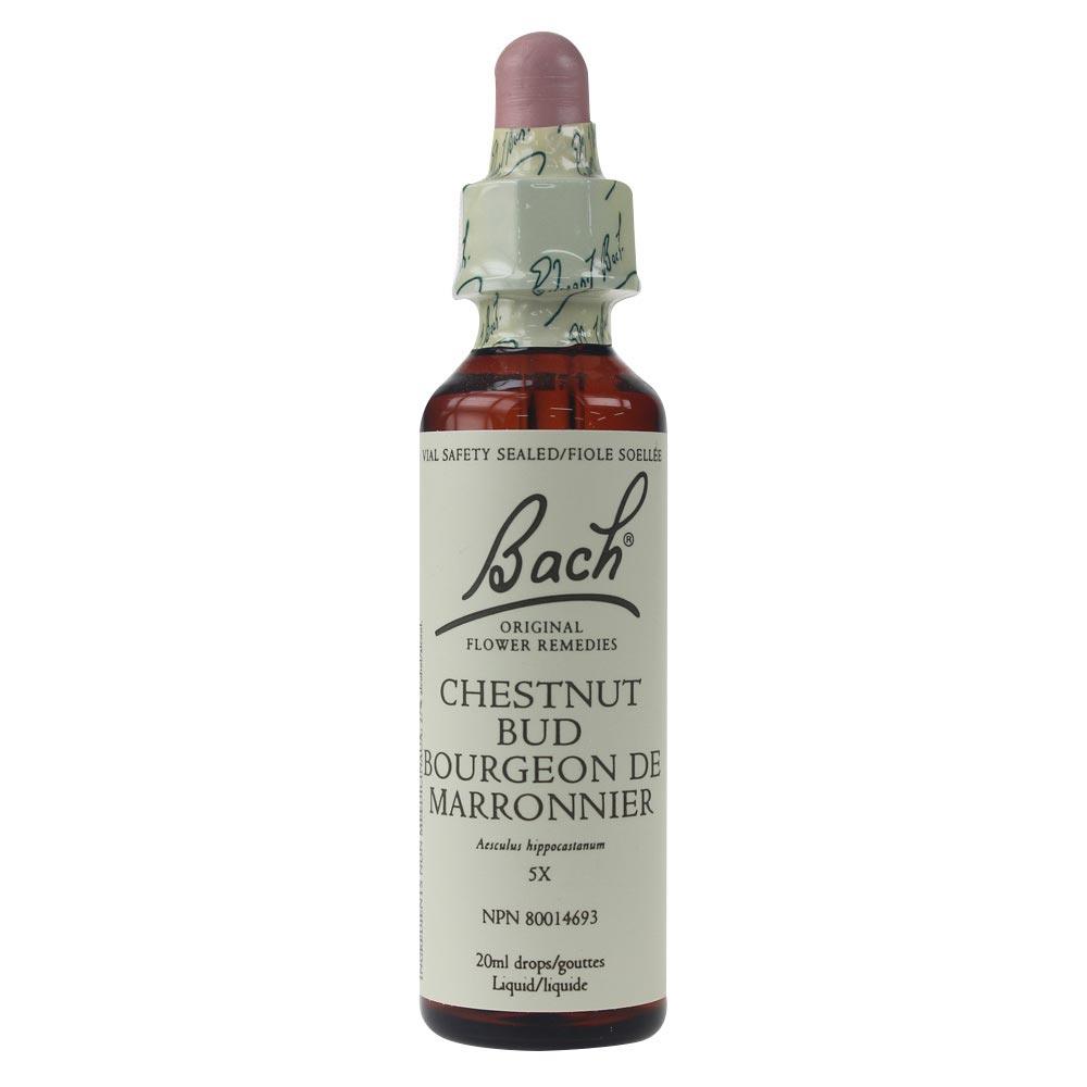 Bach Chestnut Bud 20 ml - Nature's Source Inc